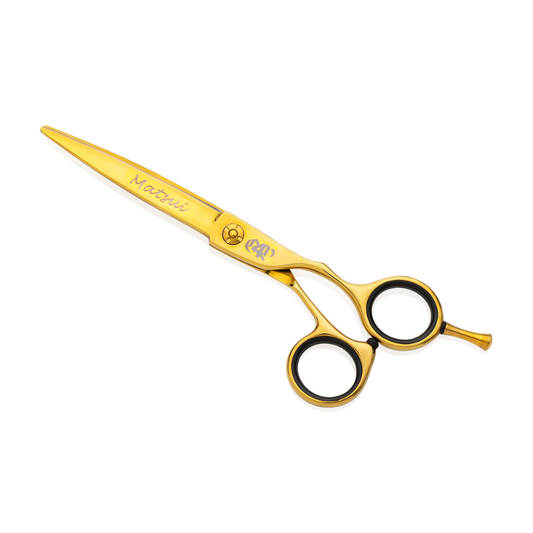 Matsui x 4B x O.P. Development Pointer